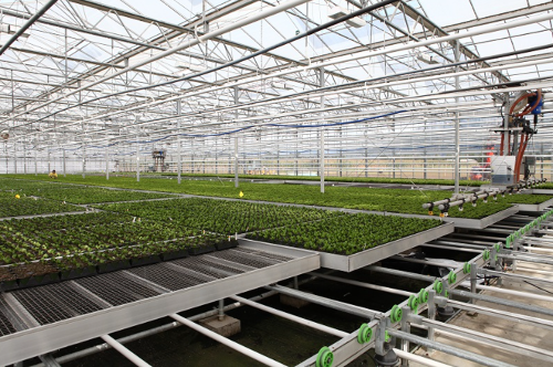 Basic floor for growers