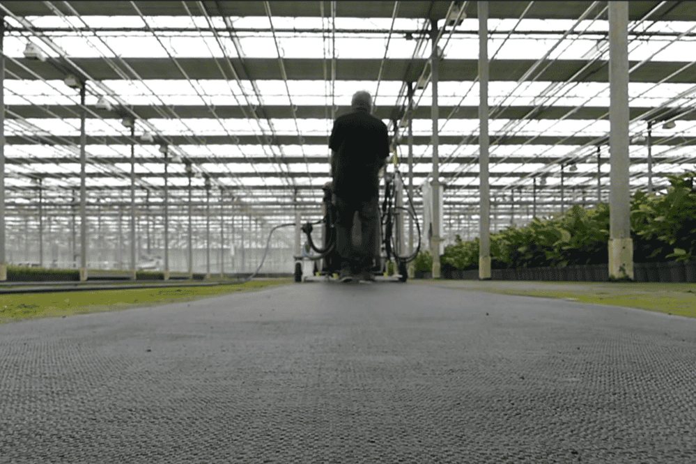 Stop algae growth at your nursery- 6 important tips!