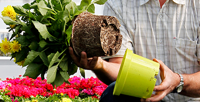 L’ErfGoedVloer est le sol de culture le plus durable pour vos plantes.