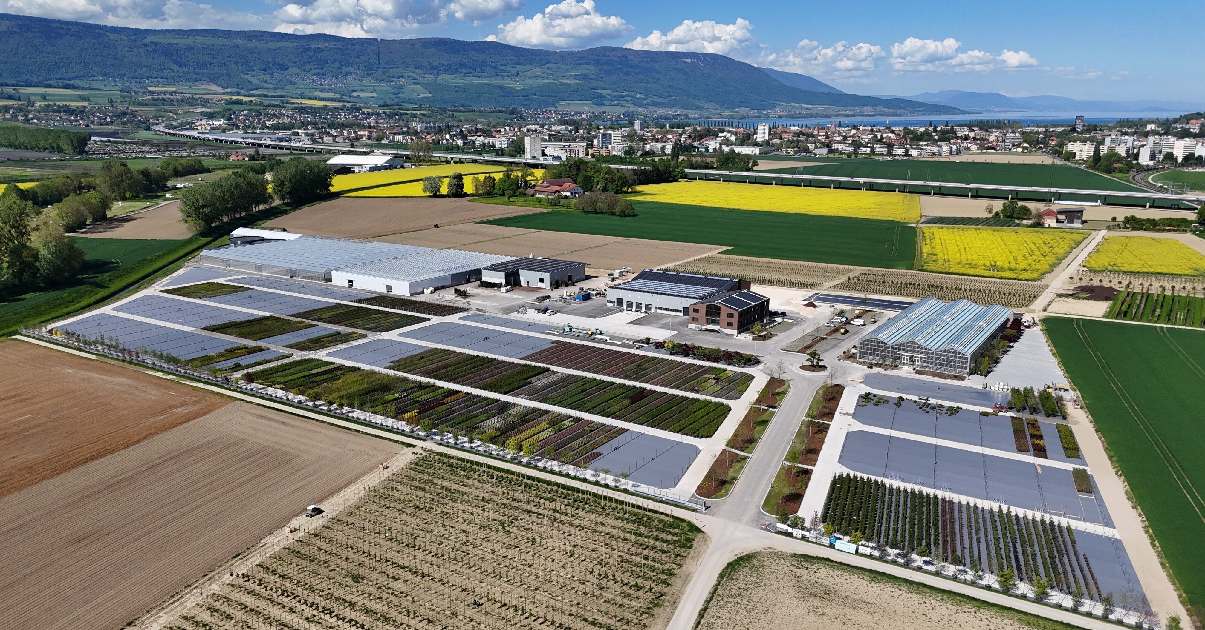 Water, innovatie en toekomst: hoe ErfGoed de tuinbouw ondersteunt voor morgen