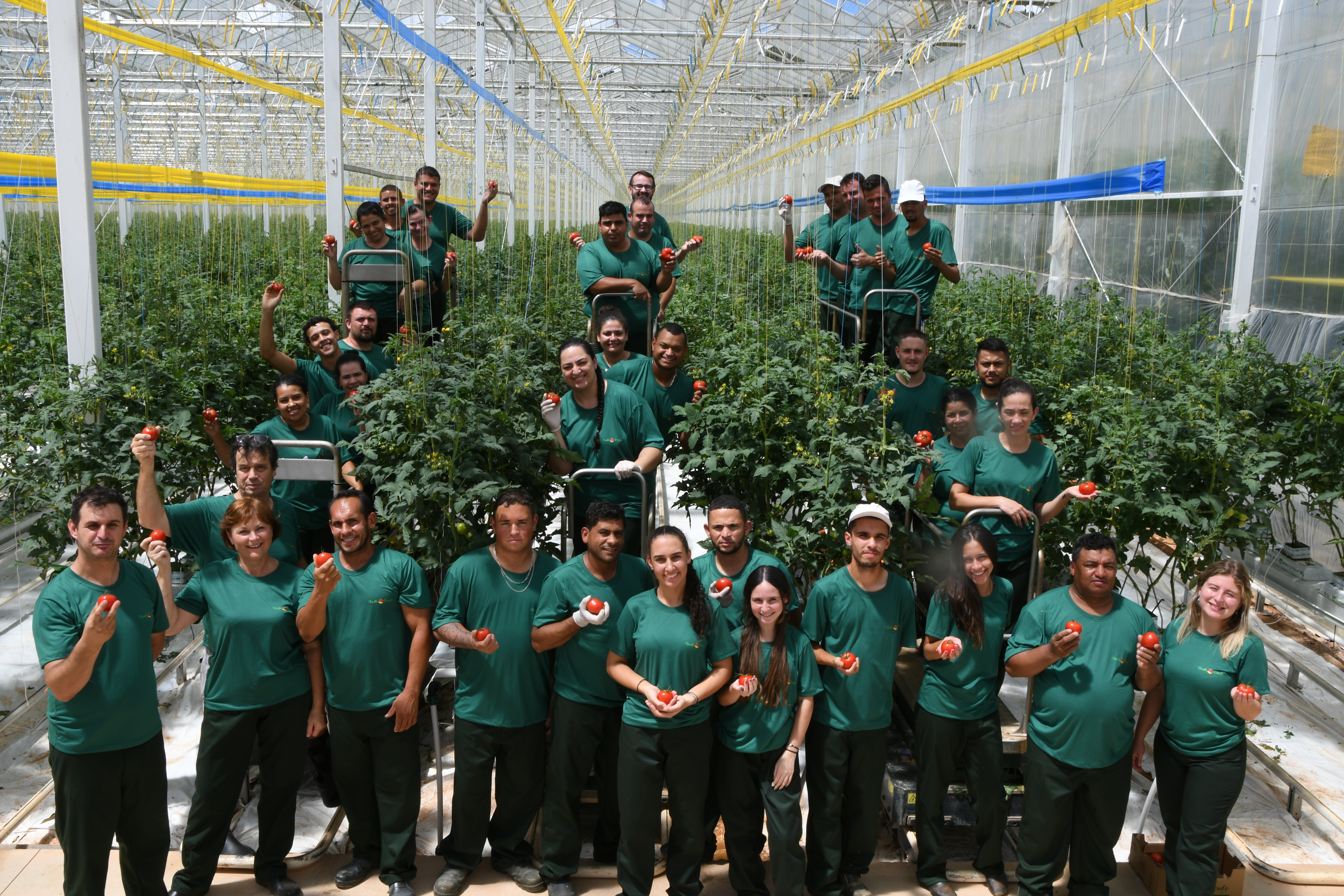 “O piso ErfGoed tem grande valor agregado no cultivo de plantas de tomate