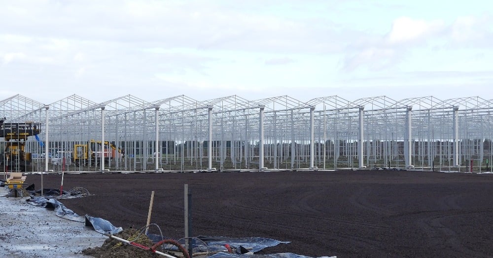 Hoe bouwt u slim aan de toekomst van uw vaste planten kwekerij?