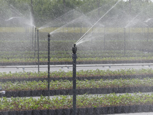 4 Irrigation Systems in Horticulture: Choosing the Right Method