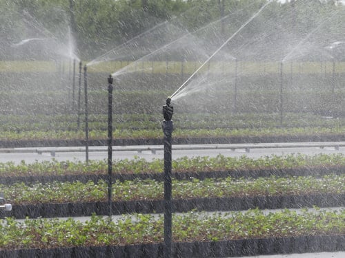 4 sistemas de irrigação em horticultura; qual é o método correto?