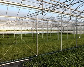 O piso ErfGoed proporciona mudança no uso de produtos agrotóxicos