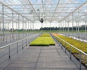 Vegetable growers choose ErfGoedFloor