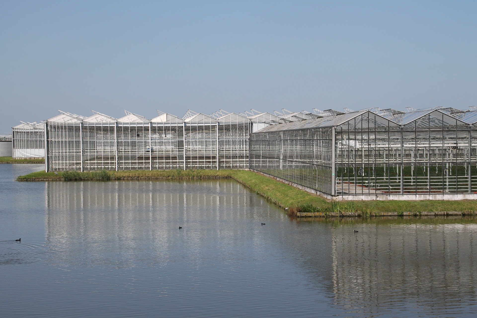 Irrigation in the nursery; how much water do I need?