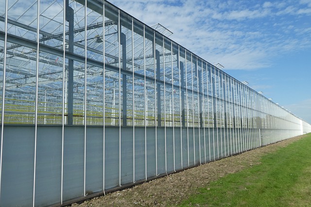 Volop kansen voor verduurzaming tuinbouwketen