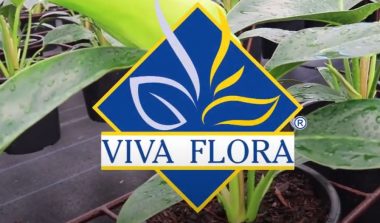 Viva Flora