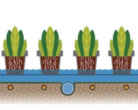 Artikel in Boom in Business over Watertechniek